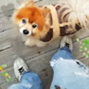 Meet your Posher, M.